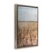 Stupell Industries Neutral Meadow Sprigs Framed Floater Canvas Wall Art Design by June Erica Vess